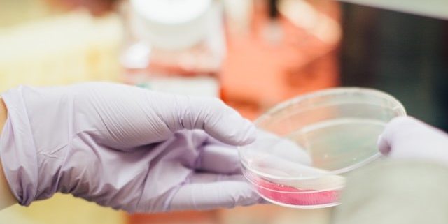 squamous cell carcinoma treatment